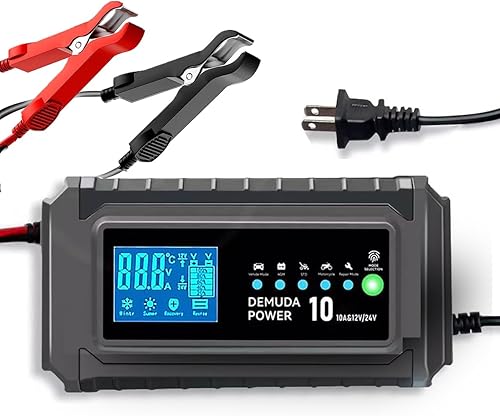 Treeligo Cargador de batería de coche de 10 amperios de 12 V y 24 V completamente automático inteligente de plomo-ácido (GELAGMSTD), cargador de