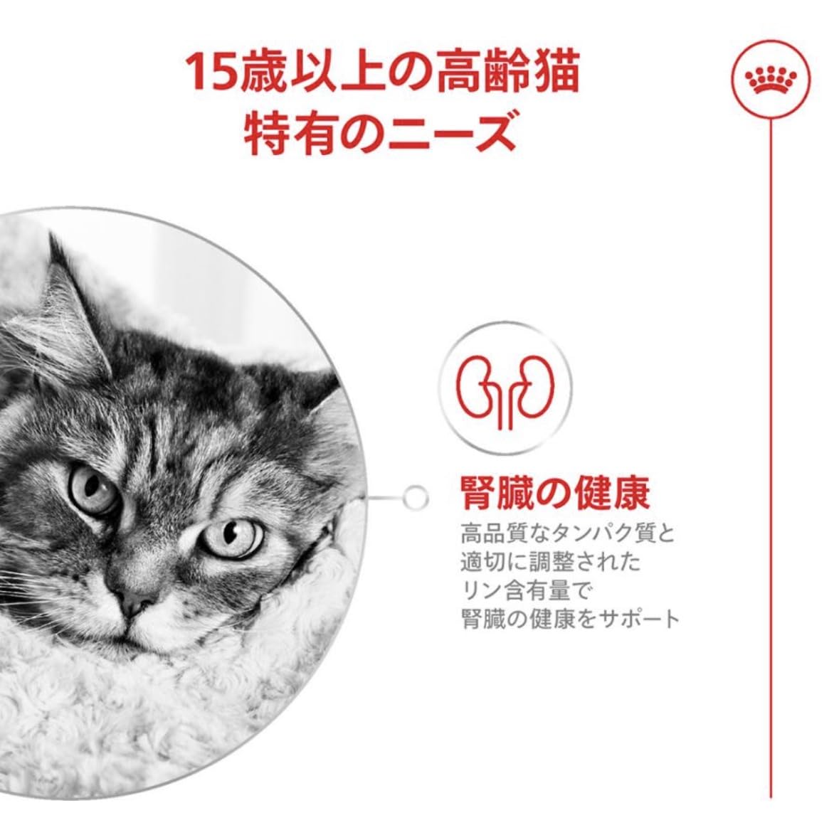 Amazon | ロイヤルカナン FHN エイジング 15+ 高齢猫用 15歳以上 (4kg