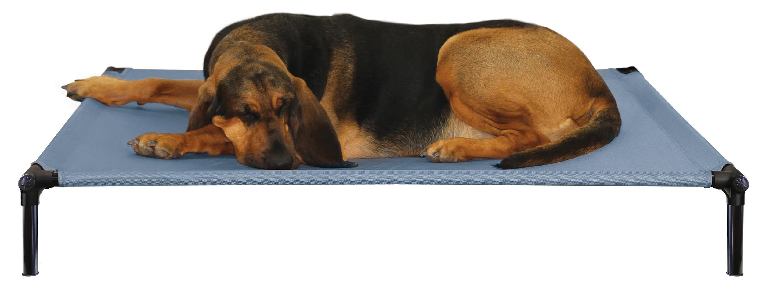 Dog Zone XL Bleu Ciel Starmark : offrez à votre grand chien son espace