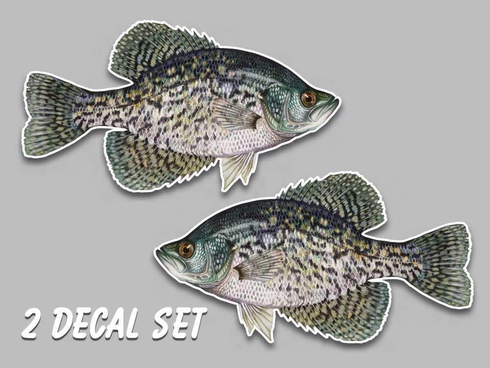 Black crappie fish vinyl decals 5.5" x 10" set of 2 right left facing sticker fishing freshwater for truck car SUV window glass