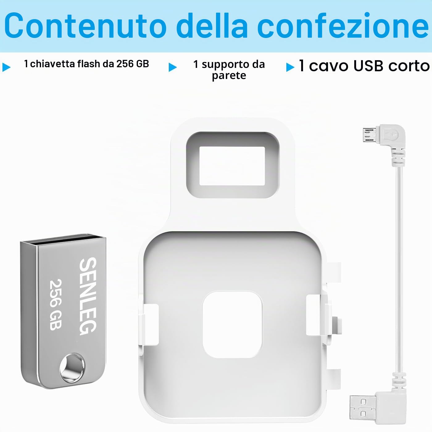 Chiavetta USB Blink da 256 GB e modulo di sincronizzazione Blink 2