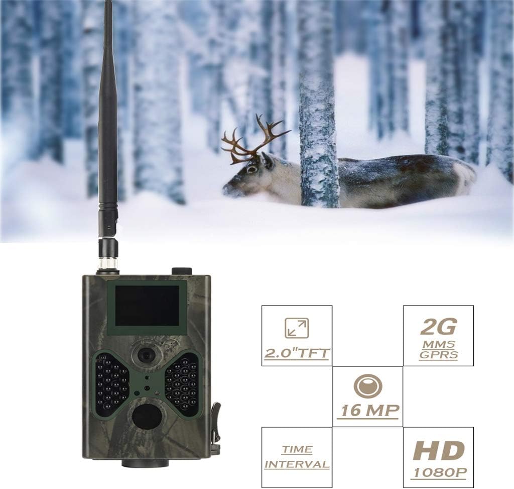 telecamera per il sentiero dei cervi