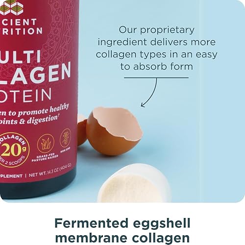 Miniatura 6 de Ancient Nutrition Péptidos de colágeno en polvo, proteína de colágeno múltiple, mujeres y hombres, vitamina C, probióticos, colágeno hidrolizado,