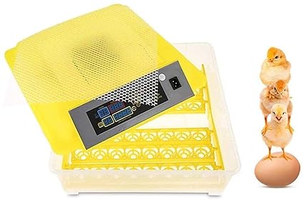 Ndeal | Egg Incubator Automatic Egg Incubator 48 Eggs Hatcher Household Incubator Chicken Chick Hatcher for Farm Teaching Experiment