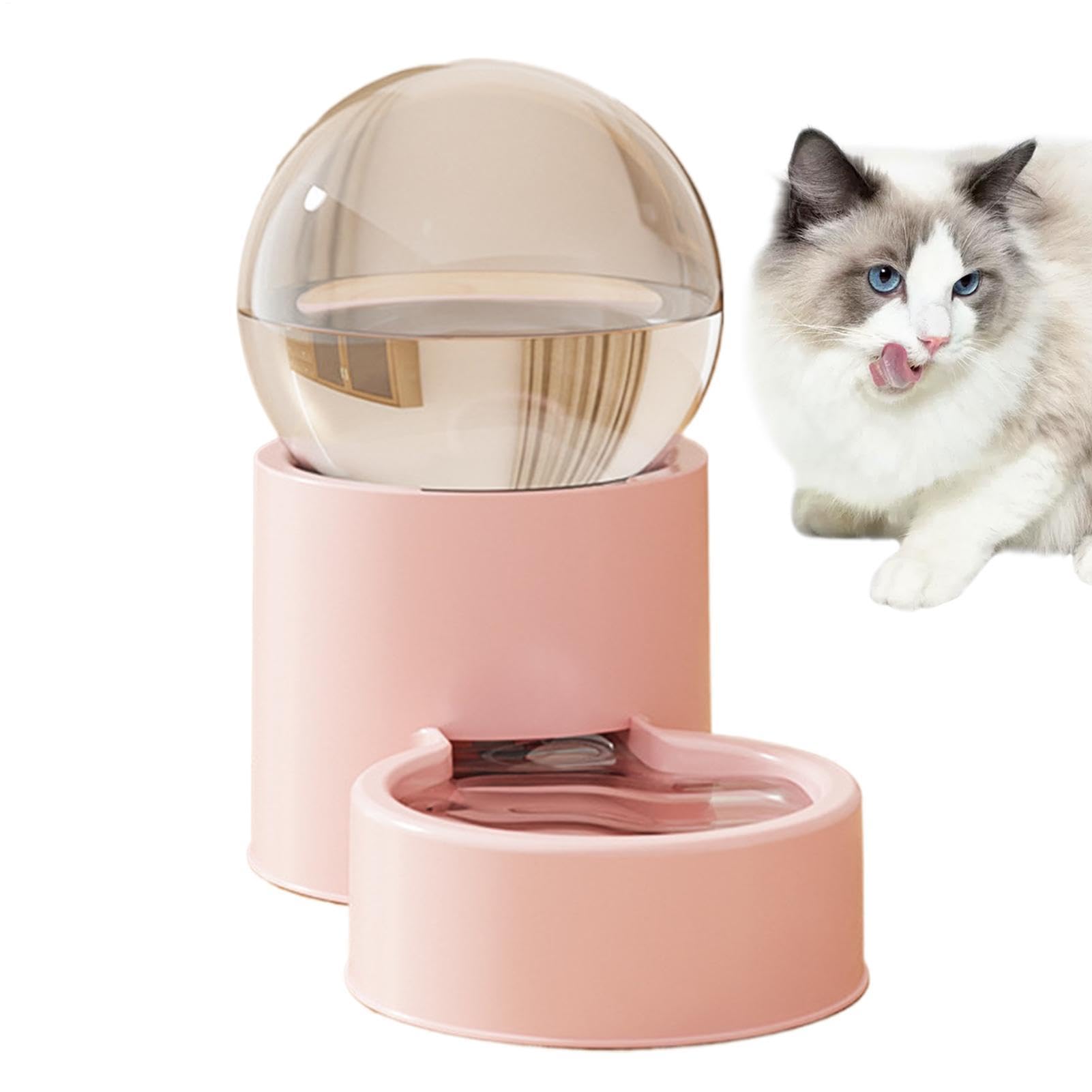 Distributeur automatique de croquettes chat pour éviter la déshydratation en votre absence