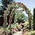 Garden Arch, Outdoor Flower Garden Arch Trellis, Sturdy Steel Arbor for Climbing Plants, Wedding Decoration, 94" H x 55" W, Black