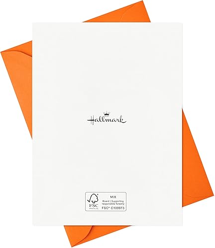 Miniatura 6 de Hallmark Surtido de tarjetas de Halloween, Seas's Creepings (24 tarjetas con sobres)