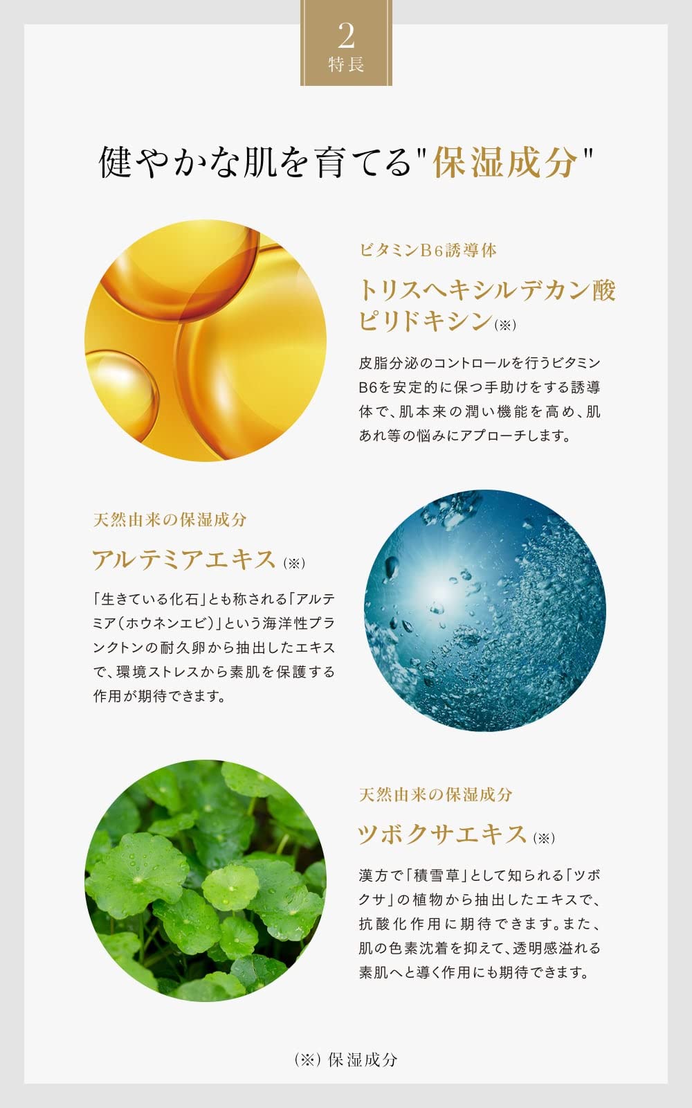 Amazon.co.jp: スキンケアW ザ セラム 30ml イナータス : ビューティー