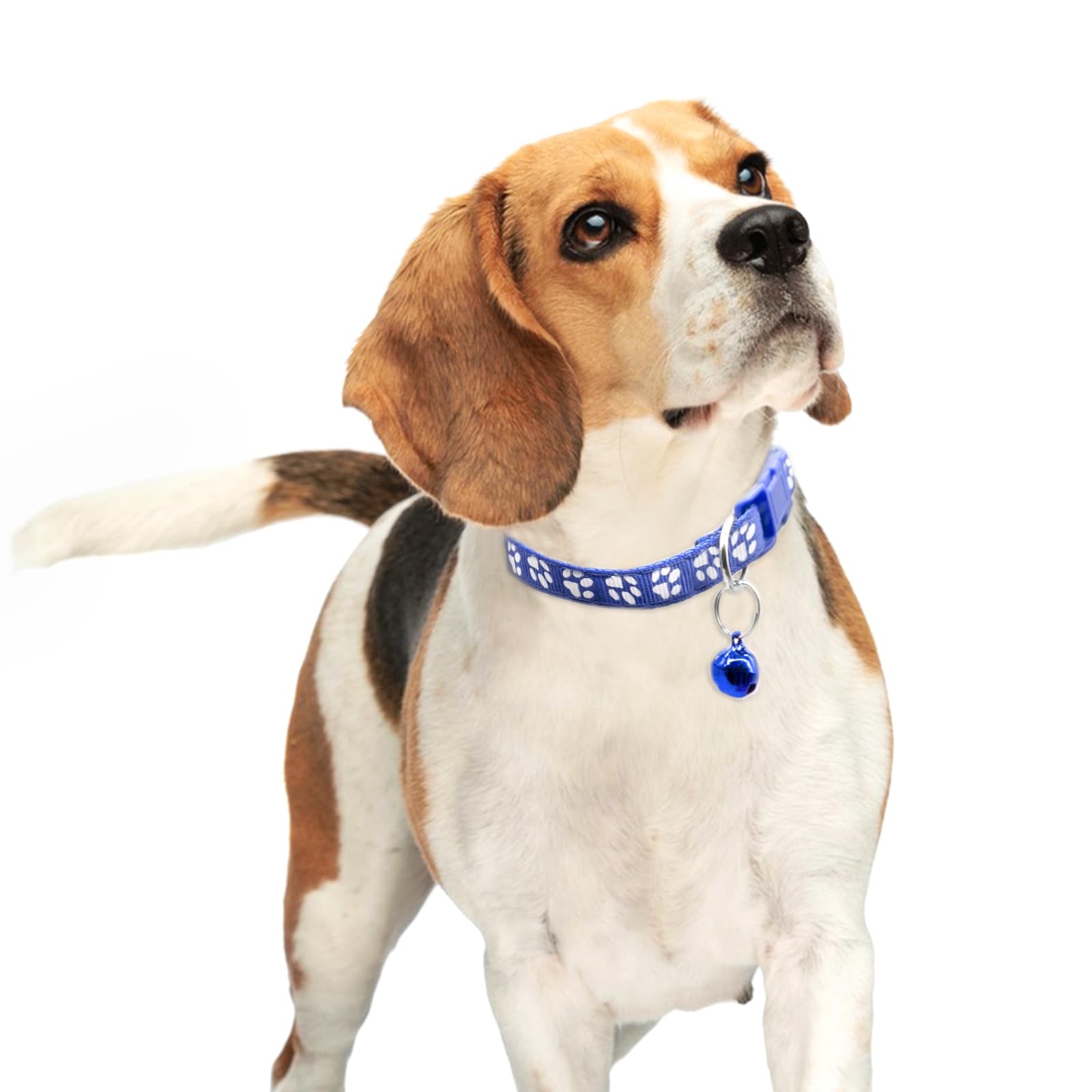 Quacc Lot de 6 colliers pour chiot, collier de mise bas coloré réglable pour chien de 19 à 32 cm, collier avec clochette pour petits chiens et chats