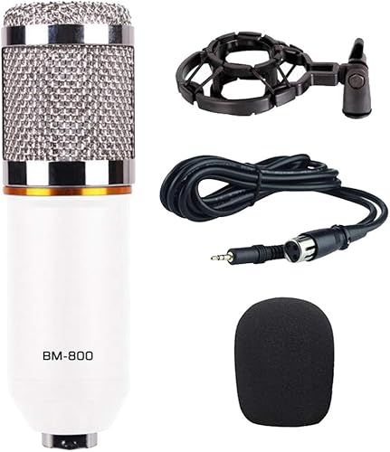 kesoto Professional Kondensatormikrofon mit Mikrofon Halterung  Karaoke Handmikrofon fA r PC  Konferenz  Schule  Party  Hochzeit Mit Round Circle-White