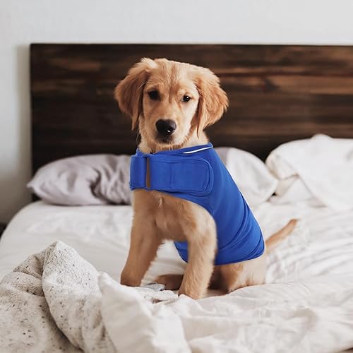 Miniatura 7 de ROZKITCH Chaleco de ansiedad para perro, chaqueta cómoda para ansiedad para perros con fuegos artificiales, viajes, visitas al veterinario, camisa