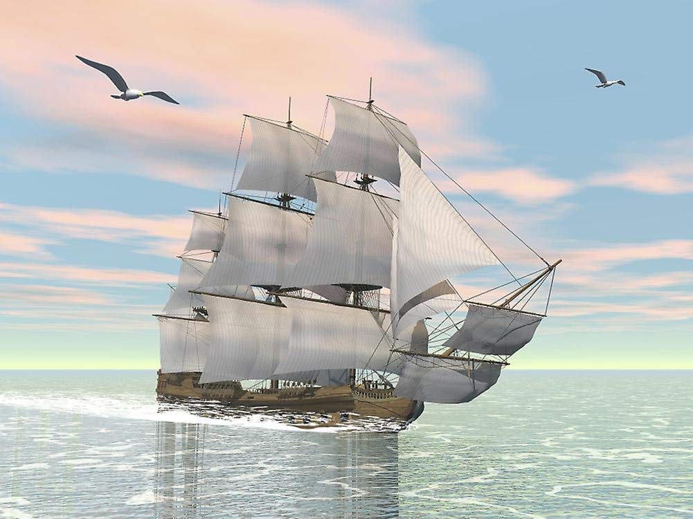 WOWDECOR Paint by Numbers Kits, DIY Oil Painting - Boat Sailboat Sea Seagull Clouds 16x20 inch (Framed)