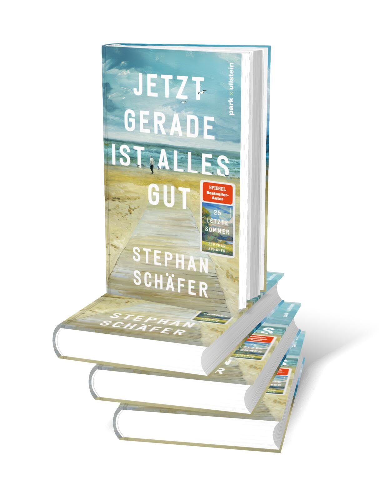 Jetzt gerade ist alles gut: Nach dem SPIEGEL-Bestseller "25 letzte Sommer" - der neue Roman von Erfolgsautor Stephan Schäfer