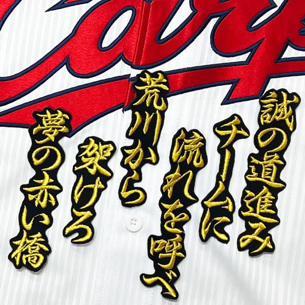 鈴木誠也 広島カープ 公式グッズ Amazon.co.jp: 広島東洋カープ 鈴木誠也 プロ野球チップス