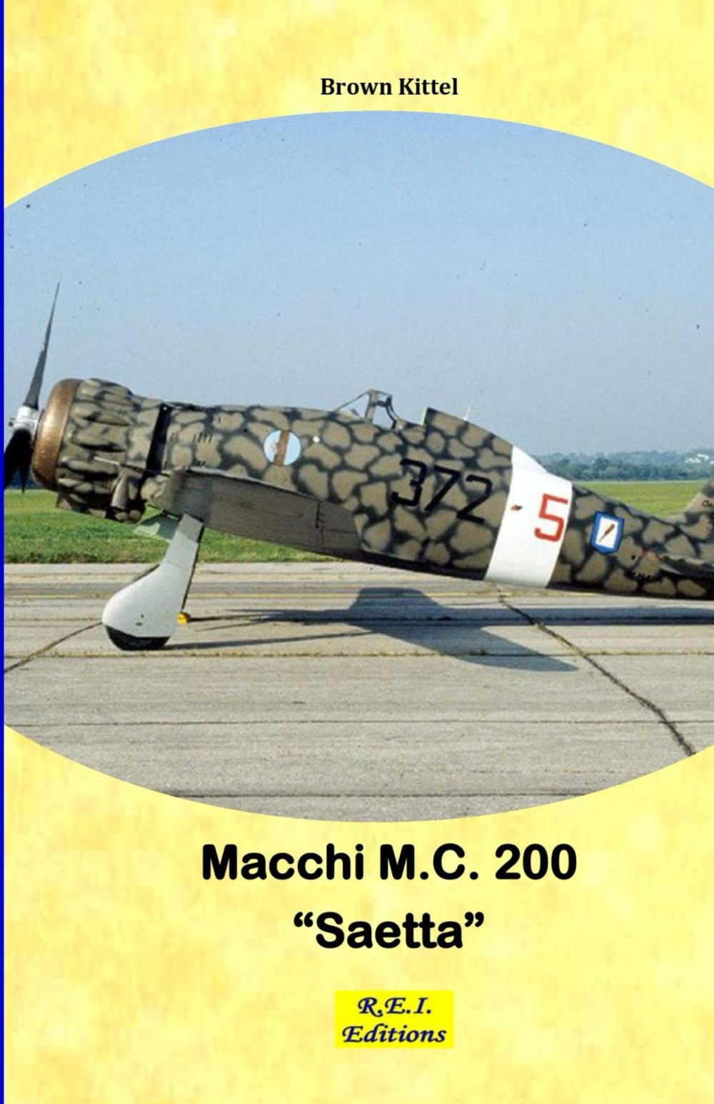 The Macchi M.C. 200 "Saetta"