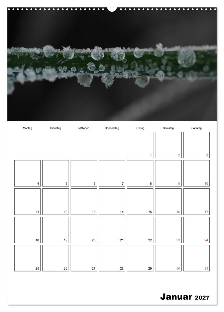 CALVENDO - schwarz/weiß trifft farbe - DEIN TERMINKALENDER/Planer (Wandkalender 2027 DIN A2 hoch), Monatskalender: Ein ausgewählter Bereich von Farbe gibt ausgewählten schwarz/weiß Fotos den besonde