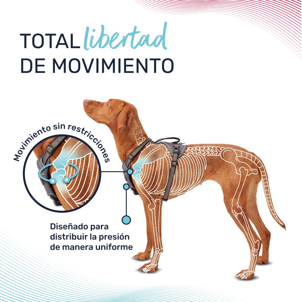 Arnés de Perro HALTI Anatomy con asa - Proporciona Libertad de Movimiento a tu Perro para Que pasee cómodamente. 3 Puntos de Enganche y Acolchado de Neopreno y Ajustable (Talla M, Magenta) — view 2