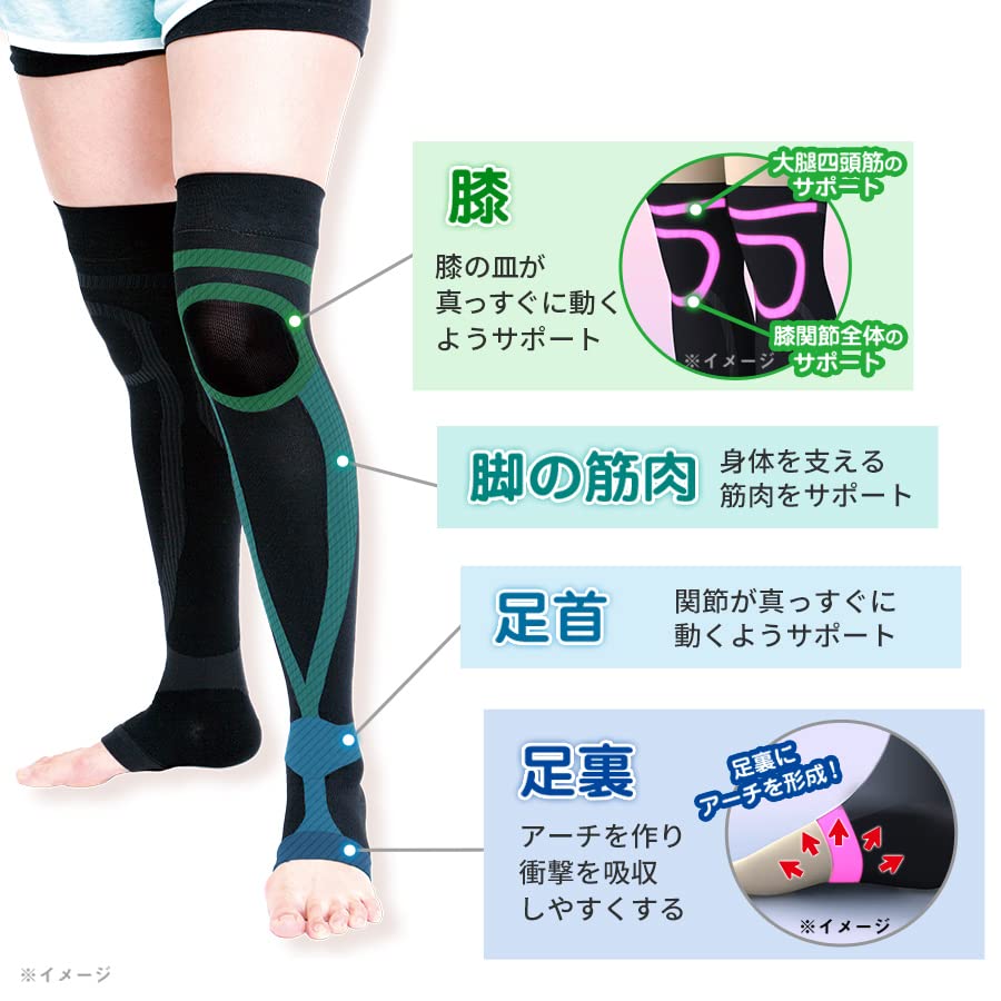 保阪流膝サポーター「膝ラクウォーキングプラス」男女兼用Lサイズ：ブラック Amazon.co.jp: 保阪尚希プロデュース！膝ラク ウォーキングPlus ／1組
