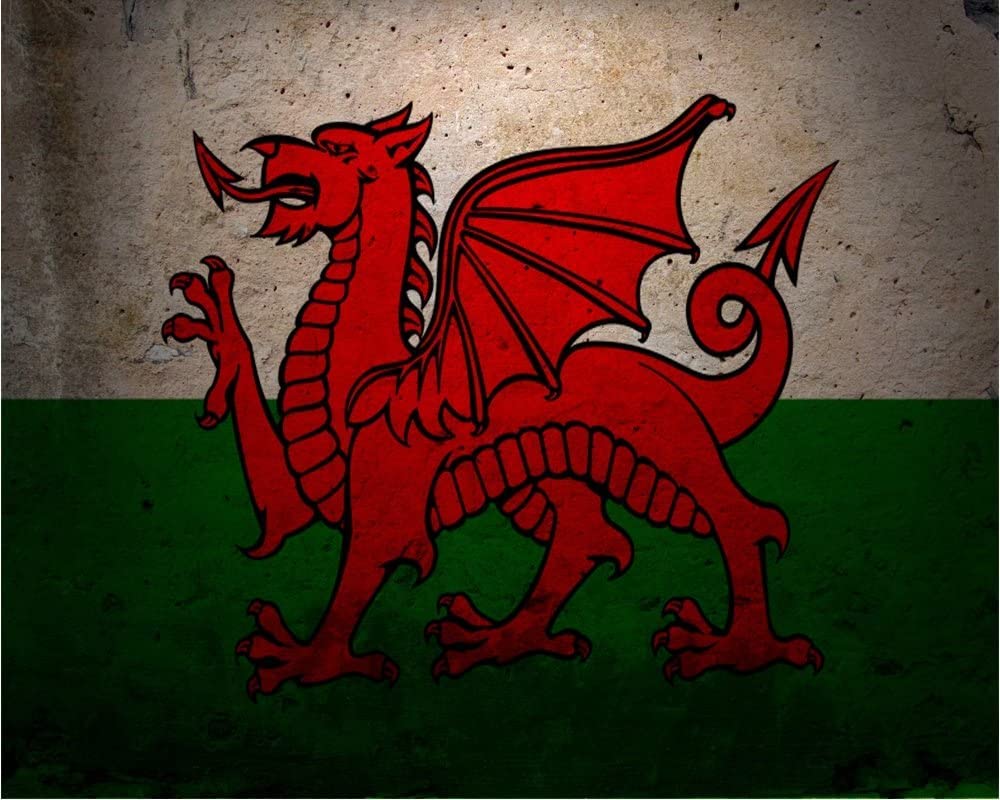 Top Banana Gifts Yellow The Welsh Dragon - Retro Vintage Metal Poster Sign, Plaque, Decorative Wall Art, 2 Sizes (A4, 21 X 28Cm)