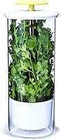 NOVART XXL Herb Keeper: Largest Glass Storage for Cilantro, Mint, Parsley, Asparagus – Keeps Herbs Fresh 2-3 Weeks