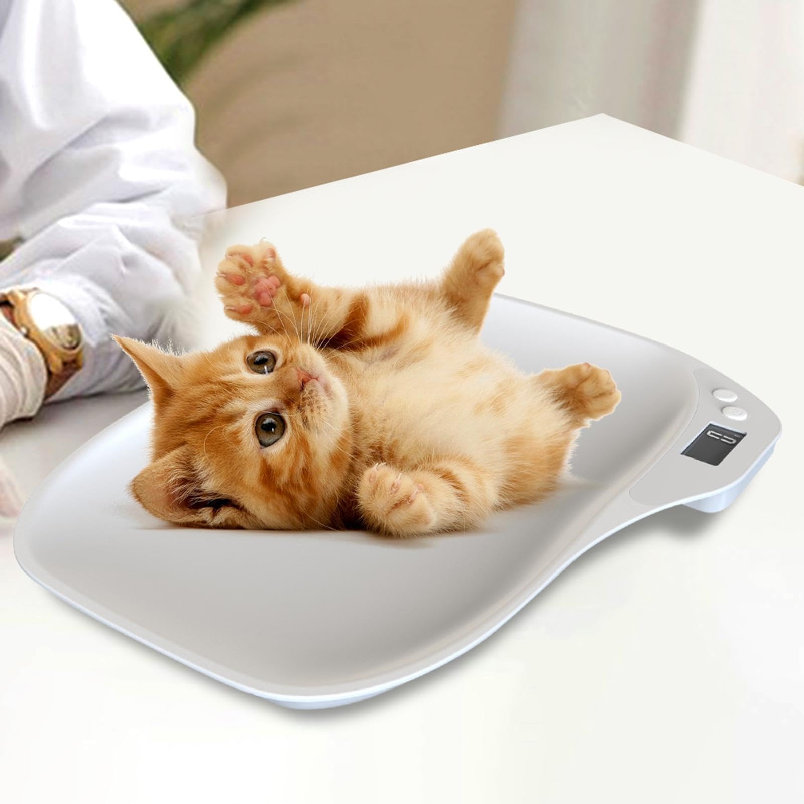 Bilancia digitale per animali domestici | Bilancia elettronica da cucina