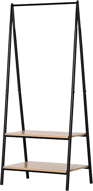 HOMCOM Clothes Rail, Freestanding Metal Clothes Rack with 2 Tier Storage Shelves for Bedroom and Entryway, 64 x 42.5 x 149 cm, Black Frame