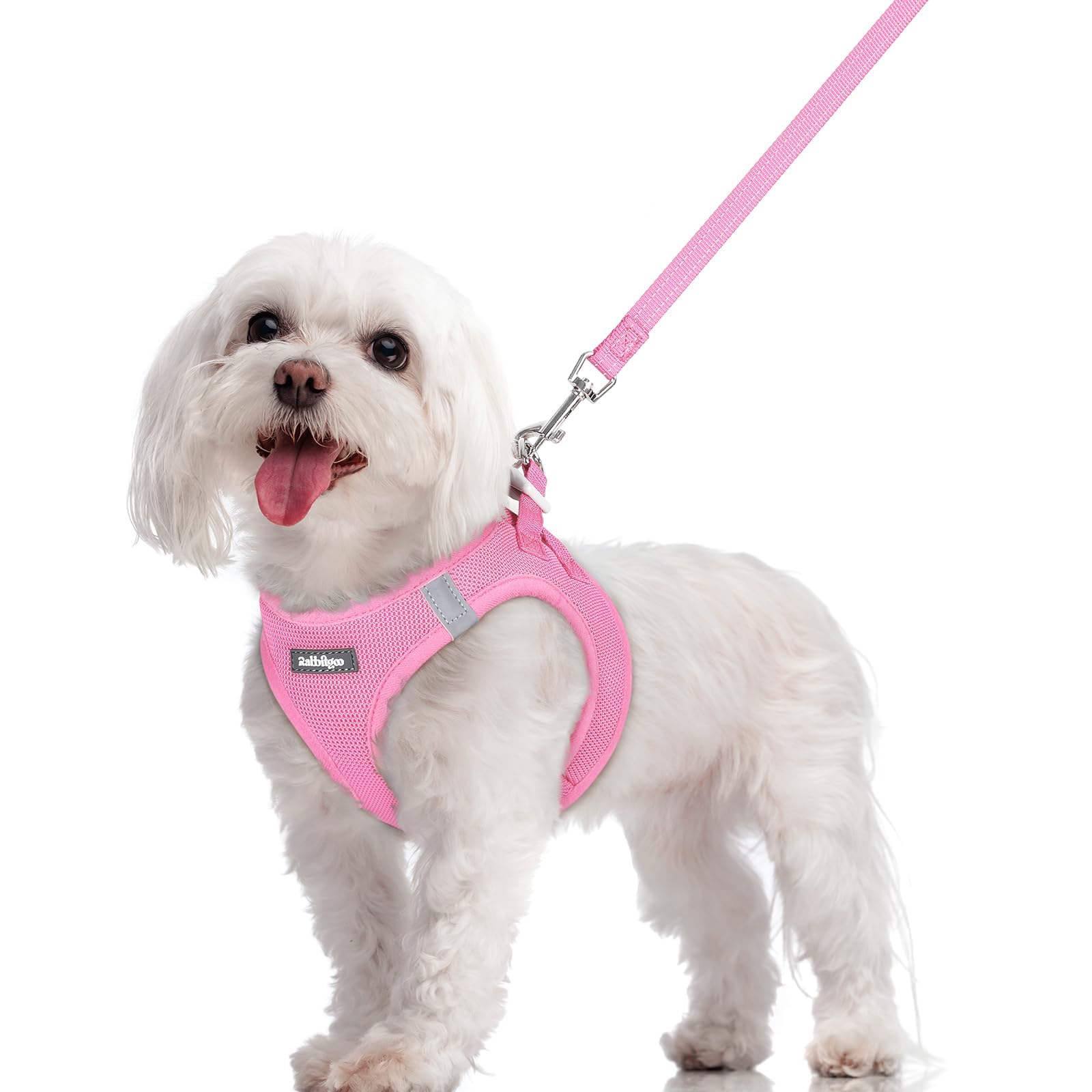 rabbitgoo Dog Harness Small Dog and Leash Set, Step-in Soft Mesh Puppy Harness with Reflective Strips, Lightweight Breathable Pet Vest for Walking Training, Light Pink, M