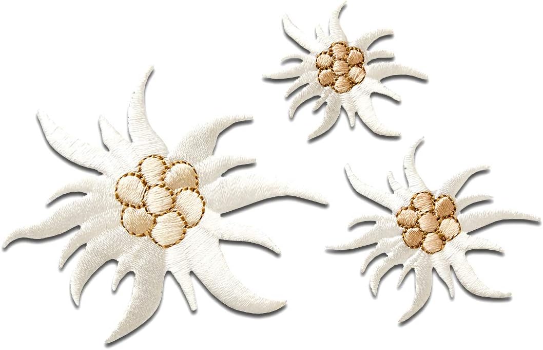 Toppe Termoadesive Ricamate Genziana Fiore - 5,5x3 Cm, Patch Decorativa Per Jeans, Borse, Cappelli - Foto 10