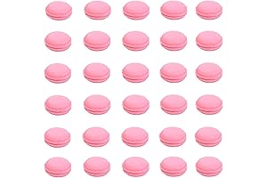 HAN SHENG 30-Count Cute Macaron Mini PC Case Jewelry Box Container Earring Travel Organizer (Pink)