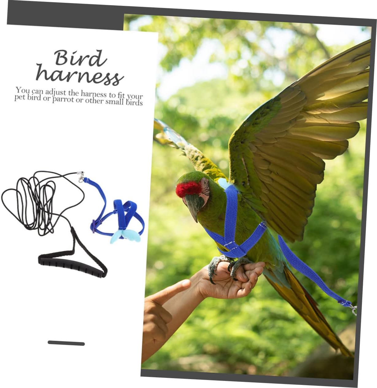 FRCOLOR 4sets Portable Bird Elastic Leash for Outdoor Training Wear-Resistant Cockatiel Flight Strap Safe and Comfortable Parrot Supplies for Daily Use