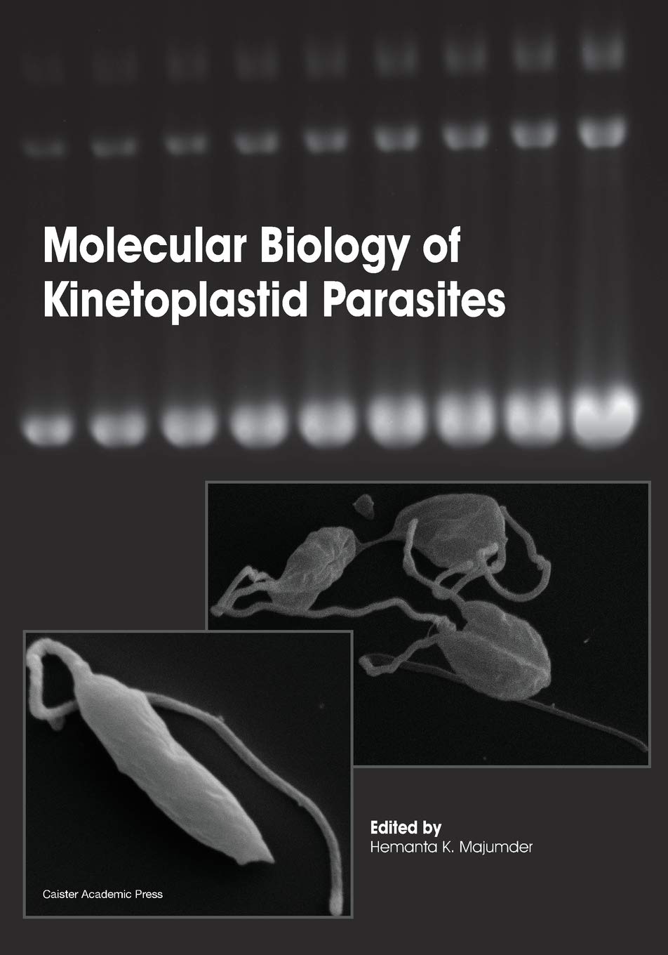 Buy Molecular Biology of Kinetoplastid Parasites — BookShops.in