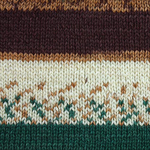 Image of Patons Kroy Socks Yarn - (1) Gauge - 1.75 oz - Woodsie Woodsie - For Crochet, Knitting & Crafting