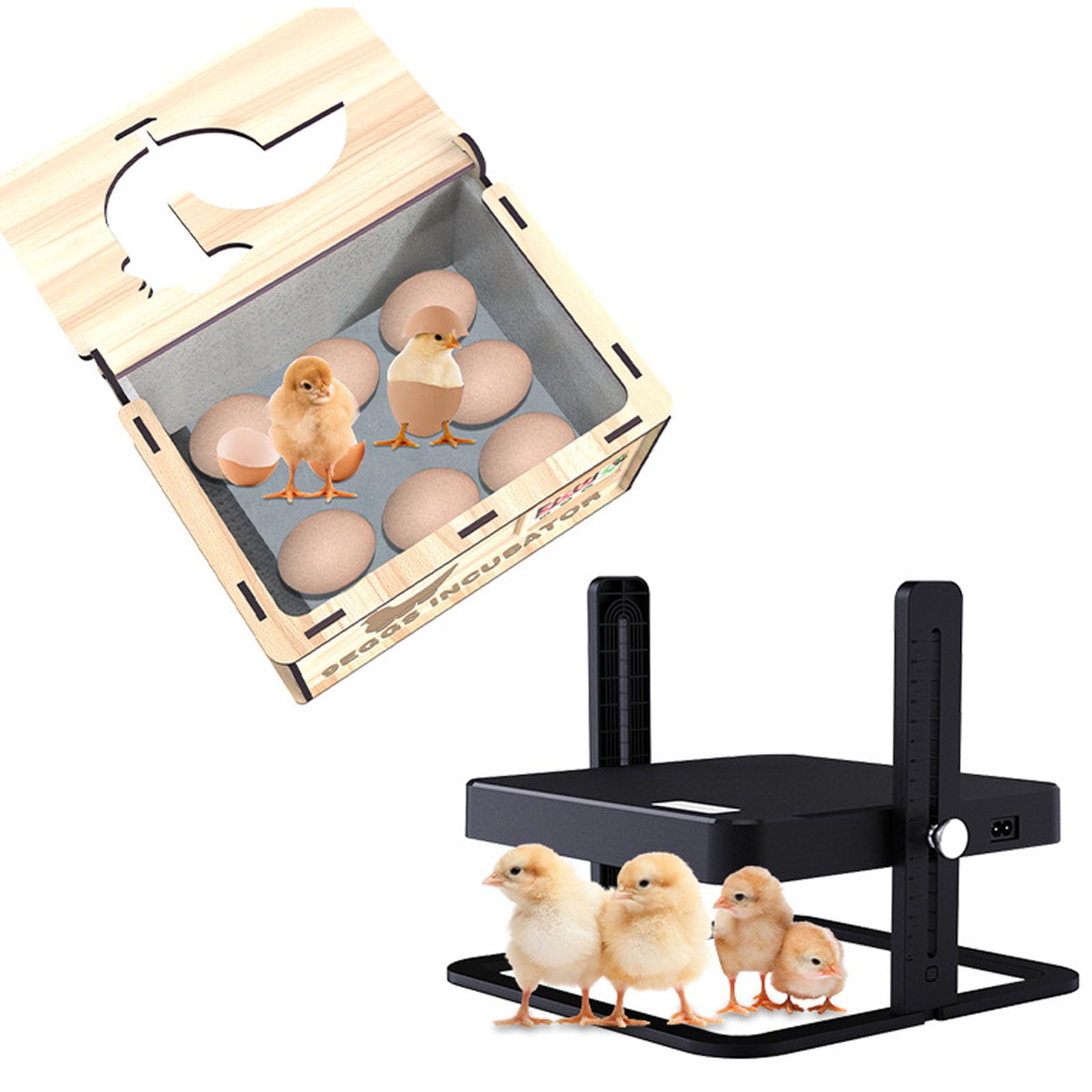 Chauffage de poulailler et incubateur de 9 œufs DIY avec lit d'eau et thermostat réglable