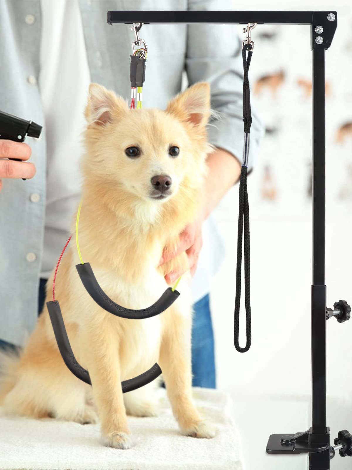 Kalolary Braccio di toelettatura per Animali Domestici con Morsetto, Accappatoio per la toelettatura per Cani e Due titoli di Lotta Non Sit