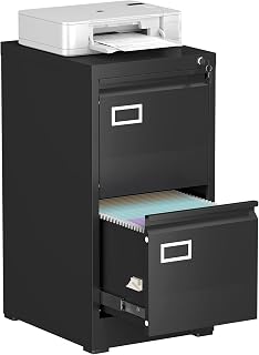 2 Drawer File Cabinet, Under Desk Cabinet with Locking Drawer, Small File Cabinets for Home Office, Metal Filing Cabinet for Legal File Folders, Letter, A4 File, Anti-Tipping
