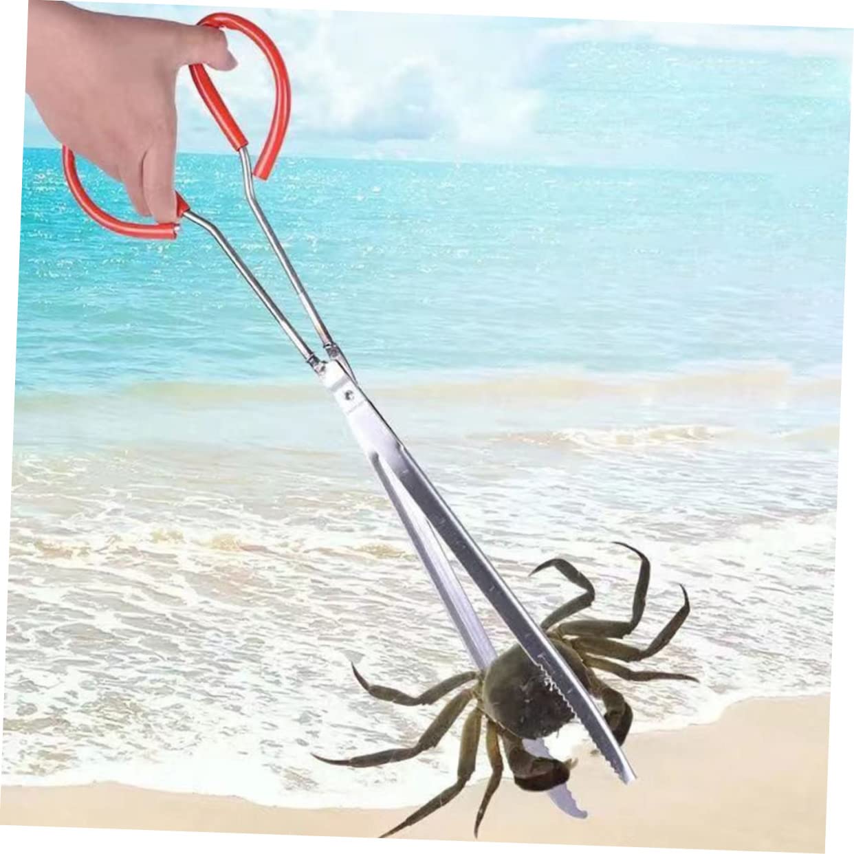 VANZACK Clip Di Pesce Di Mare Clip Di Granchio Strumenti All'Aperto Strumenti Per Grigliare Pinze Strumento Pinza Per Pinze Per Immondizia Pinze Per Pinza In Metallo Pinza