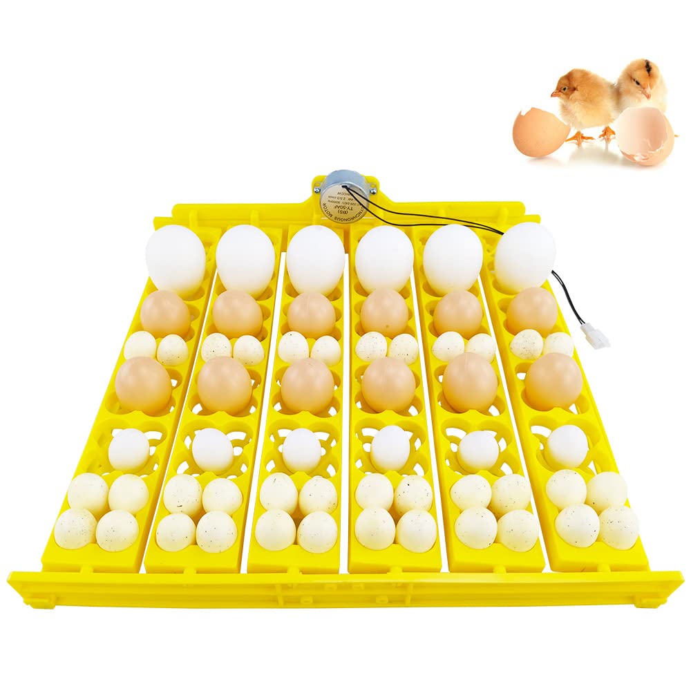 Automatic Multifunction Incubator Egg Tray With 110V Motor Turning Hatcher for Chickens/Ducks/Birds/Poultry (36-tray-110V)