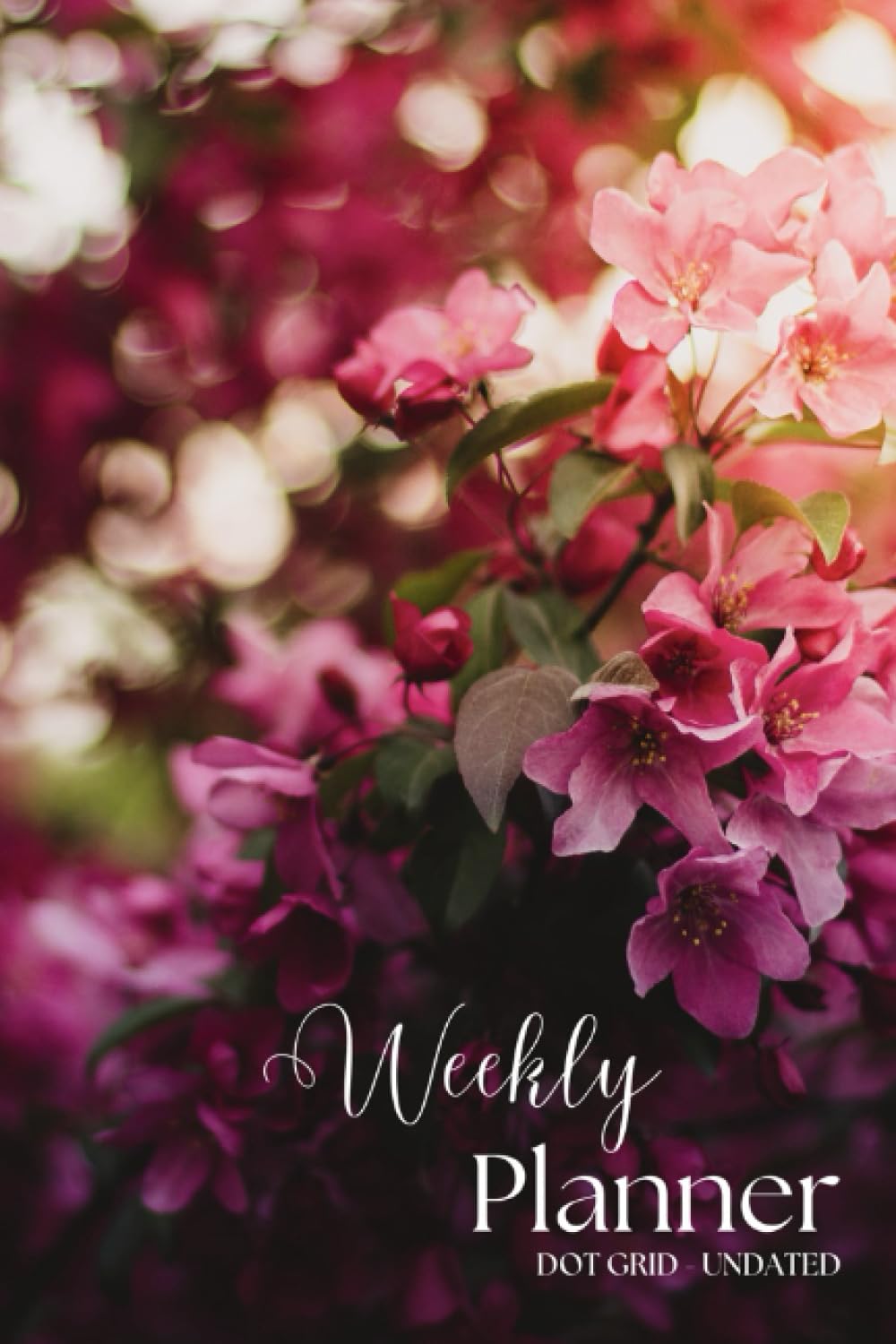 Weekly Planner: Dot Grid Undated