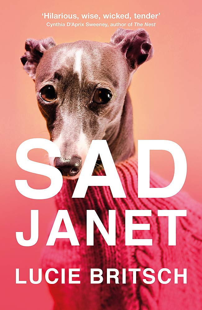 Sad Janet: ‘A whip-smart, biting tragicomedy’ HuffPost