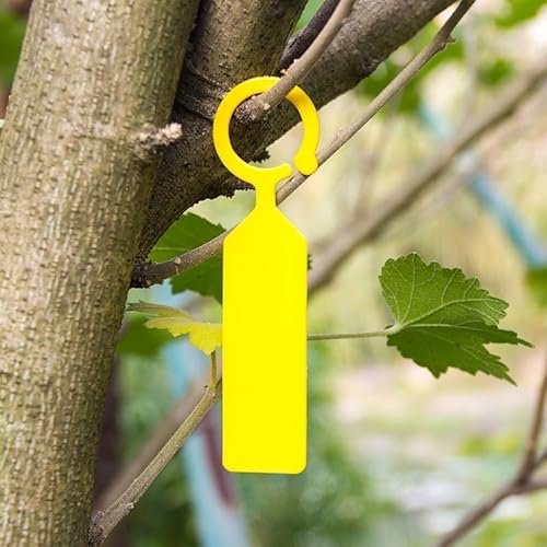 50 etichette da giardino in plastica con fibbia ad anello per etichettatura semplice delle piante (giallo)