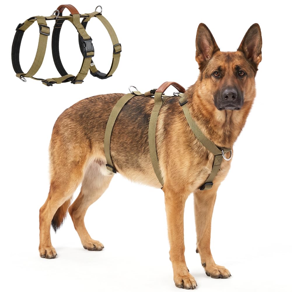 AYESY Escape Proof Dog Harness Large No Pull Adjustable Pet Harness