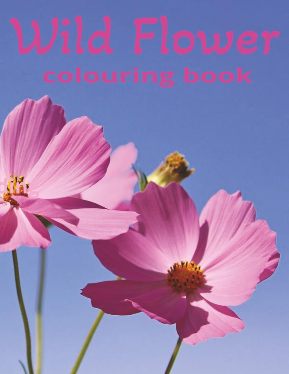 wild flower colouring book
