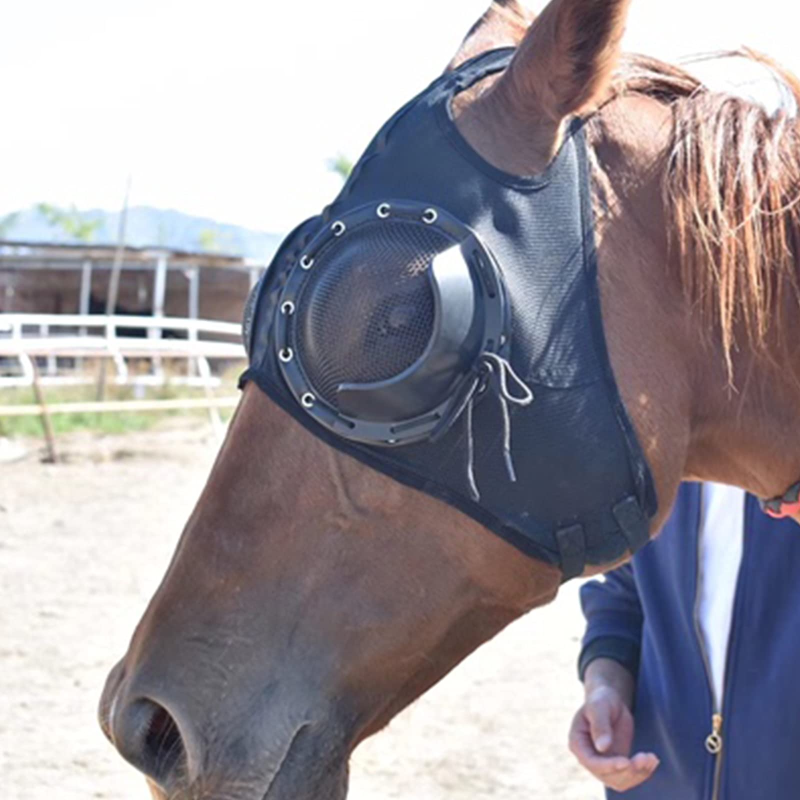 Suministros De Arnés Cubierta De Arnés Gafas A Prueba De Viento Gafas De Carrera De Velocidad con Gafas De Malla Cubierta Anti-trachoma Hogar De Caballo(Color:Negro)