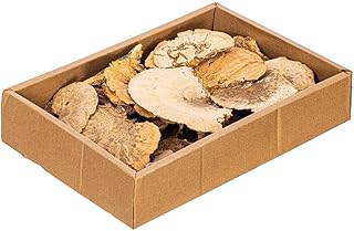 Vickerman Natural Botanicals Dried Assorted 4-6 inch Natural Sponge Mushrooms. 24 Assorted Mushrooms in a Wrapped Brown Corrugated Tray.