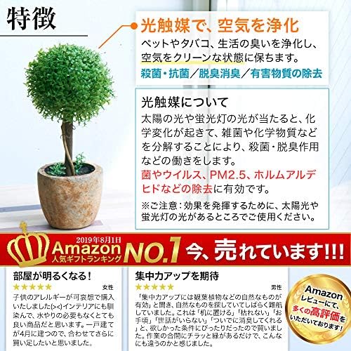 Amazon 観葉植物 光触媒 キレイな空気を実感 人工観葉植物 フェイクグリーン 人工観葉植物 オンライン通販