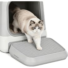 Litter Box Step for Cat - Litter Box Ramp with Filter Function