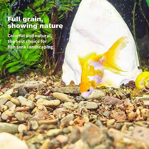 Picture of Snapklik.com : 4.4 Pounds Aquarium Colorful Gravel, Fish Tank ...