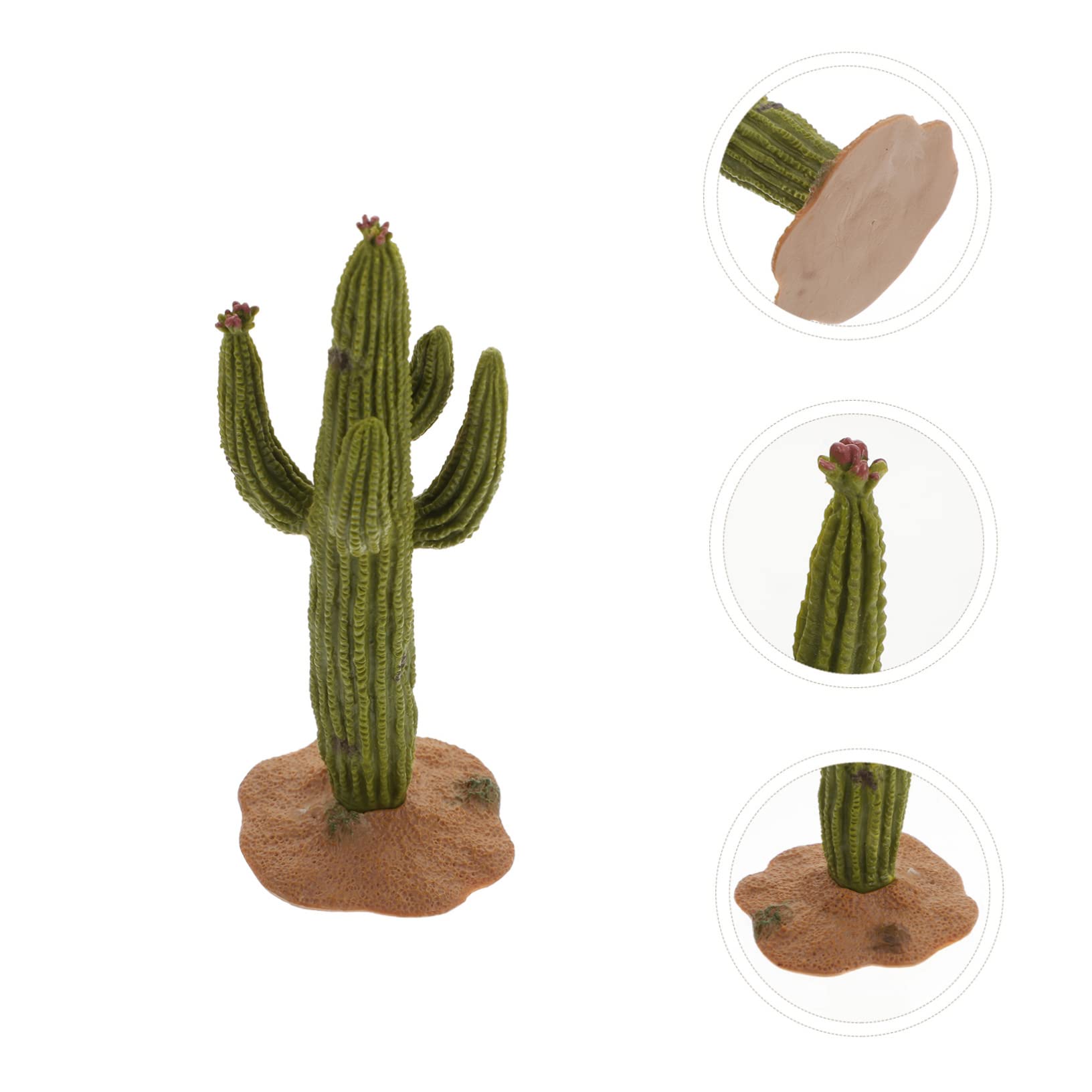 Amazon.de: ANDRESLAD 2 STK Wstengrnes Pflanzenmodell Sachen Knstlicher  Kaktus Anlage Pflanzen Figur Tisch Ornament Geflschte Verzierung  Mini-sukkulenten Sanduhr Schmcken Tropisch Mikro PVC Green