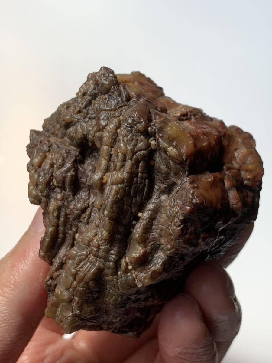 アラシャンゴビアゲート　蒙古瑪瑙　原石　水石　翡翠　オパール　根付　天珠 勾玉 Amazon.co.jp: アラシャンゴビアゲート ゴビ瑪瑙 蒙古瑪瑙