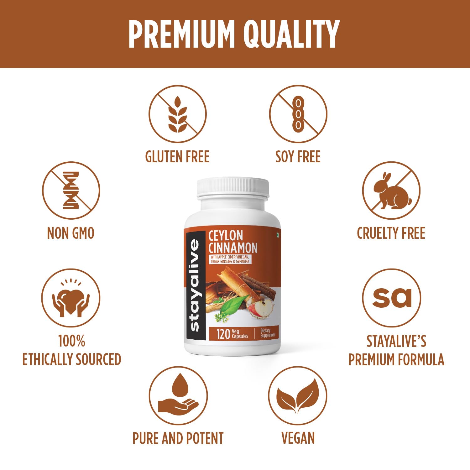 STAY ALIVE Ceylon Cinnamon Supplement, 8-in-1 Extract w/ACV, Turmeric, Ginger, Ginseng, Gymnema, Chromium & Black Pepper Powder, 120 Pills, Non-GMO & Gluten-Free Ceylon Cinnamon Capsules - Image 6 thumbnail